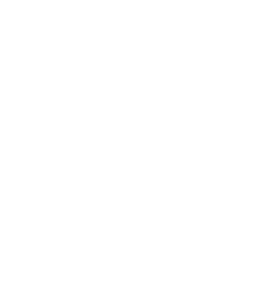 Wolberius Media logo